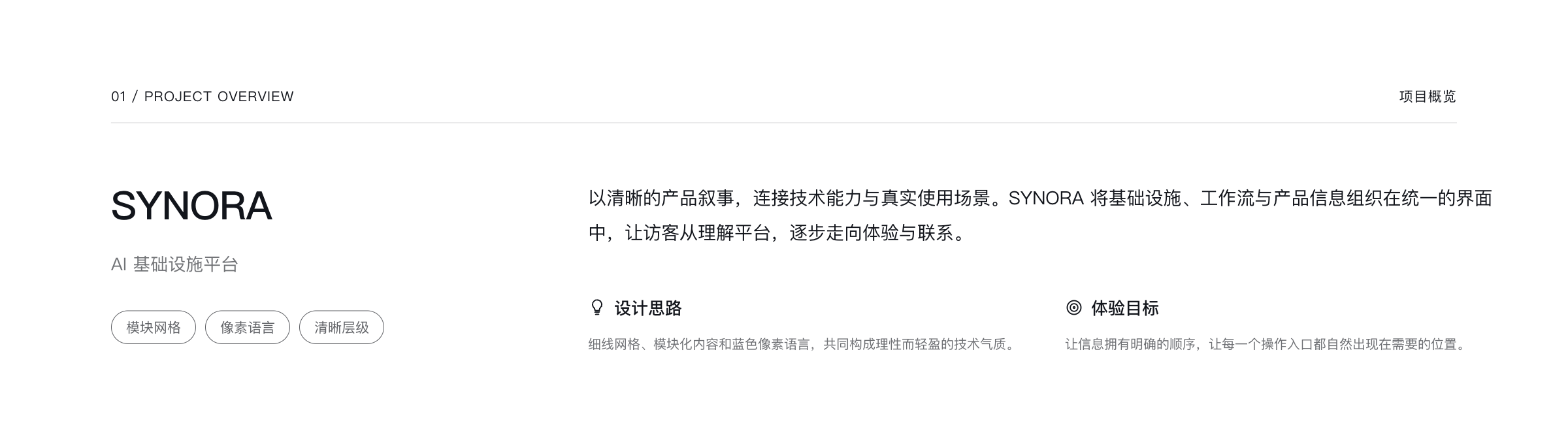 SYNORA AI 基础设施平台网站设计