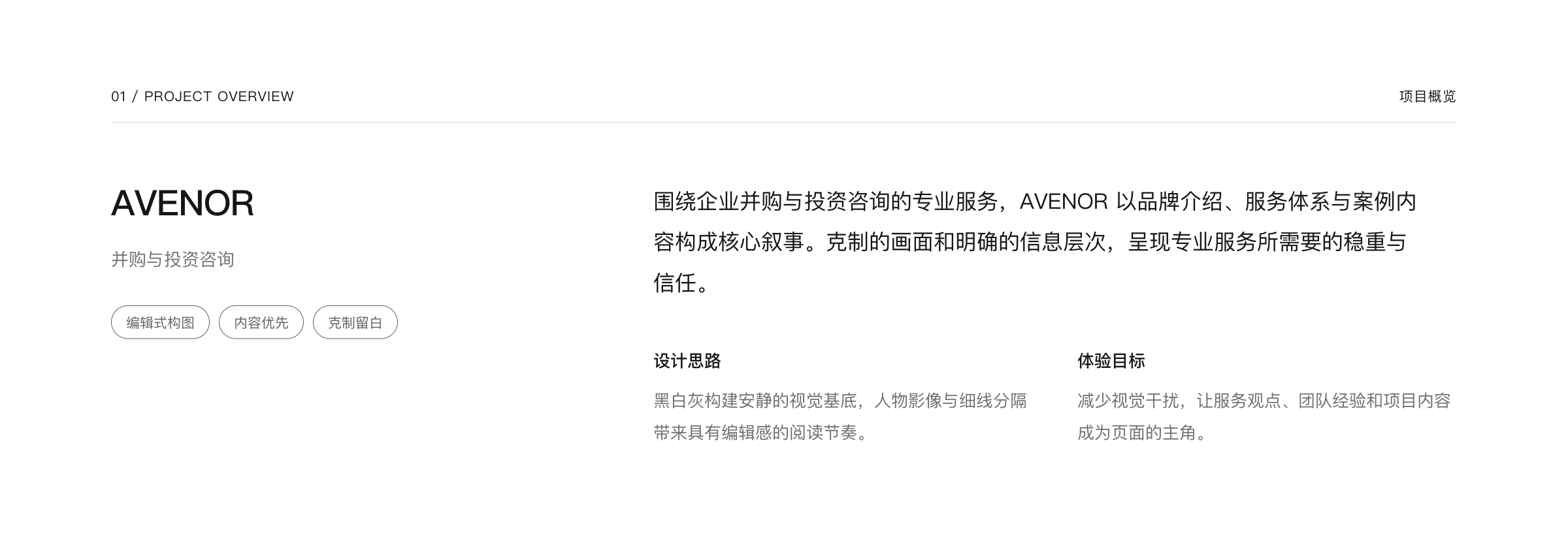 AVENOR 并购与投资咨询网站设计