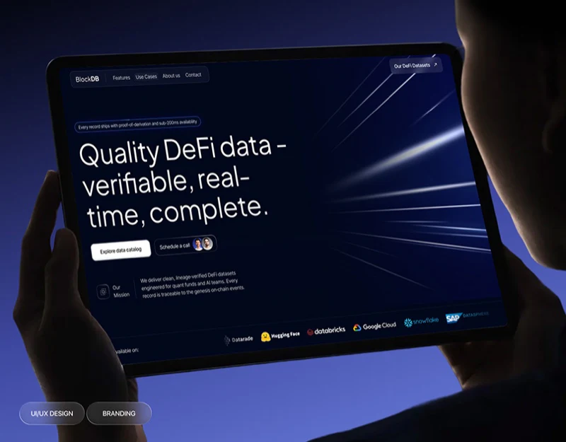 Data Service Website Design: Catalog to Custom Needs design preview