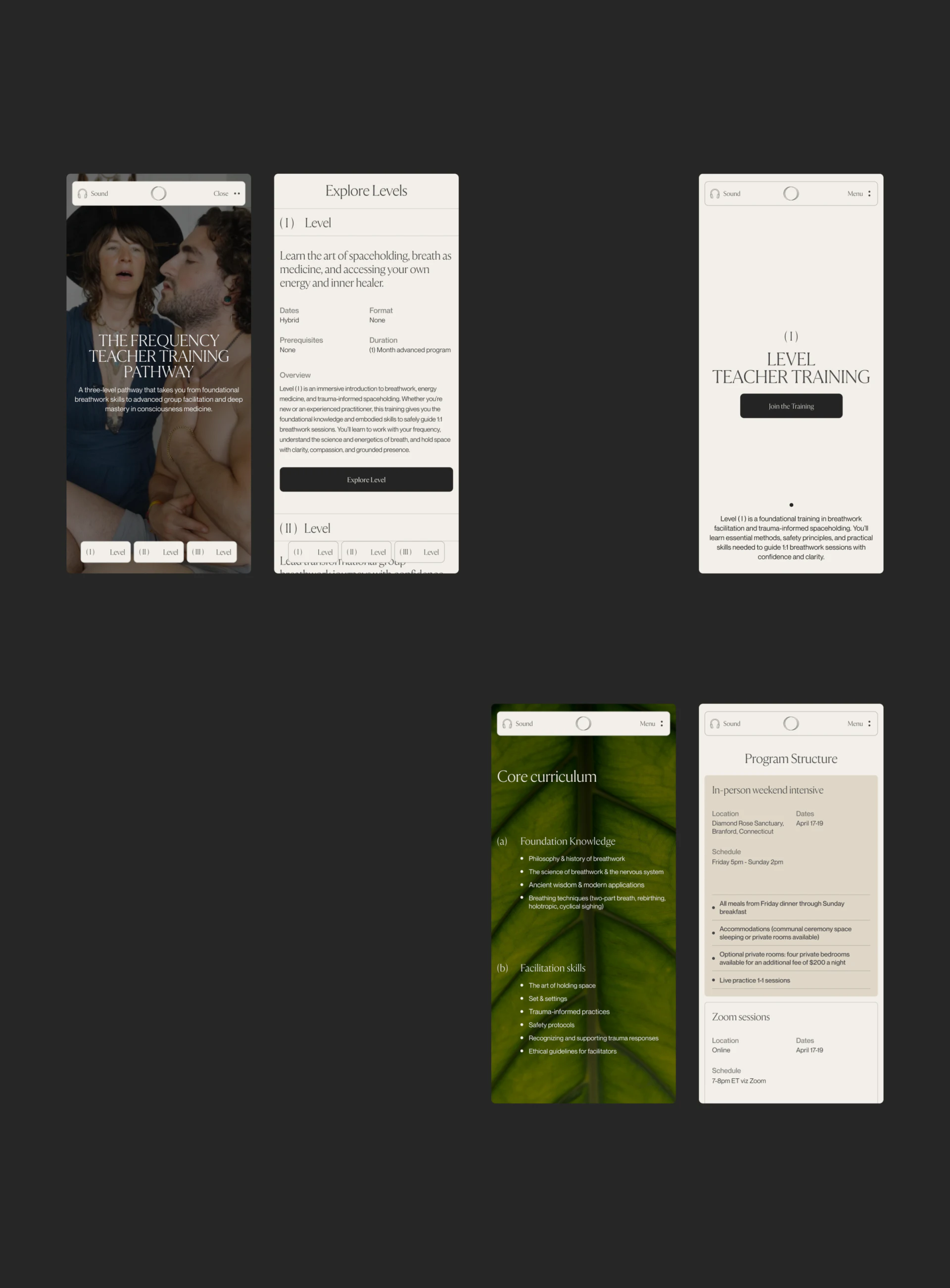 Mobile level entries, level-one detail, and in-person and online structures together